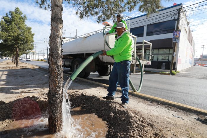 Aprovecha Gobierno de Saltillo agua tratada para riego en la ciudad