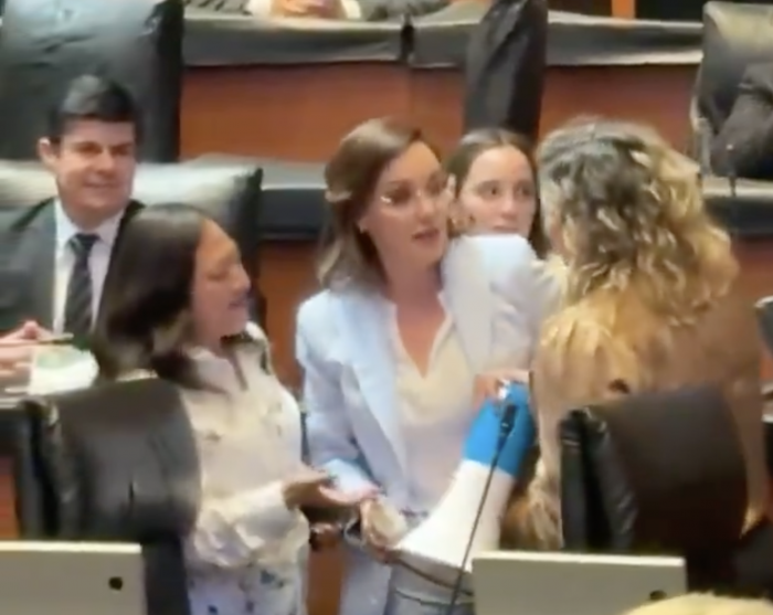 Lilly Téllez pide orden de restricción contra senadoras de Morena: ‘Son sumamente violentas’