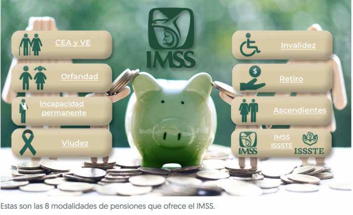 ¿Cuáles son los 8 tipos de pensiones que tiene el IMSS y cómo tramitarlas?