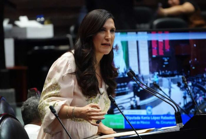 Alimentos y medicinas para mascotas sin IVA: Kenia López Rabadán propone deducción de gastos veterinarios