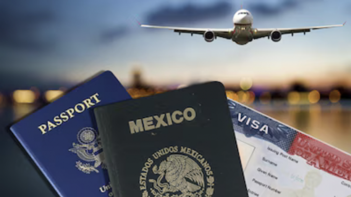 ¿Viajas al extranjero? El Formato de Migración para salir de México ya es digital; así puedes descargarlo