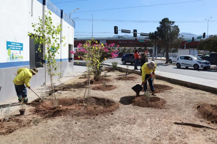 Lleva Javier Díaz acciones de delimitación de carriles viales al sur de Saltillo