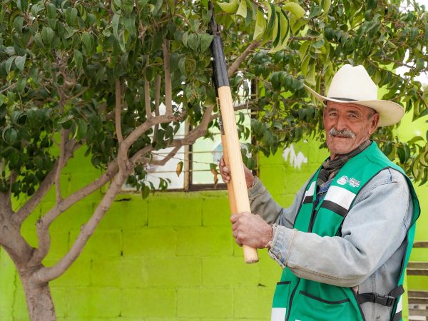 *Empleo Temporal y Ola Verde generan en Ramos trabajo y embellecen la ciudad*