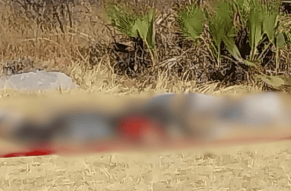 Hallan seis cuerpos en Puebla con signos de violencia; Armenta asegura que el hecho estaría ligado al crimen organizado