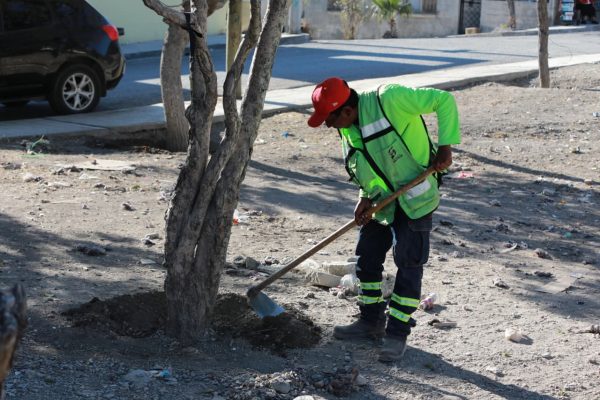 Intensifica Saltillo trabajos de rehabilitación de la Calzada Antonio Narro