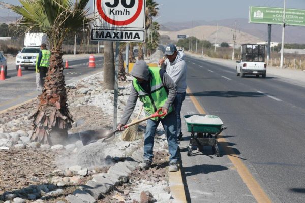 Intensifica Municipio rehabilitación de pavimento en avenidas principales y colonias de Saltillo