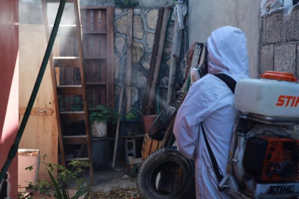 Exhorta Salud Pública a seguir recomendaciones para evitar la rickettsia