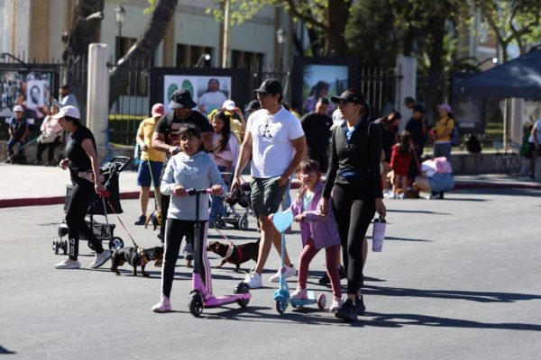 Disfrutan la Ruta Recreativa al inicio de la primavera