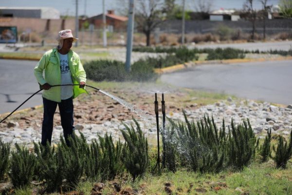 Embellece Javier Díaz plaza pública de la colonia Australia