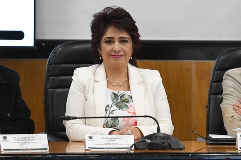 Presidenta del IECM advierte de riesgos si inexpertos llegan al INE
