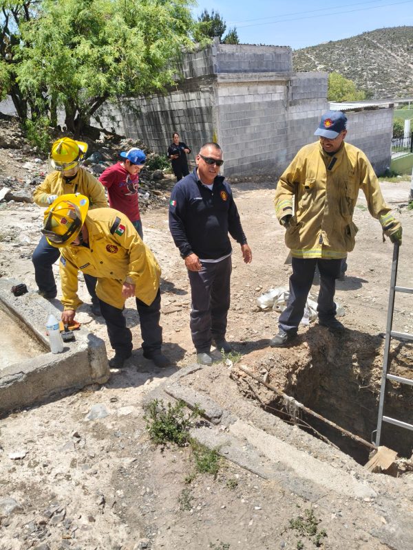 Rescata Protección Civil a burrito en ejido