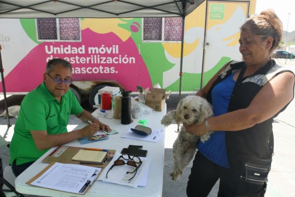 Realiza Municipio campaña de esterilización y bienestar animal en Saltillo 2000