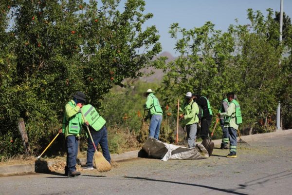 Trabaja Javier Díaz al 100 por una mejor imagen de Saltillo