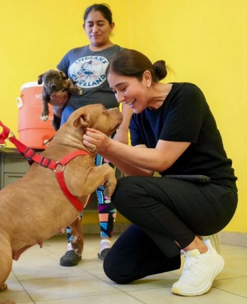 *Mascotas más sanas, familias más tranquilas: Ramos Arizpe ofrece atención gratuita*