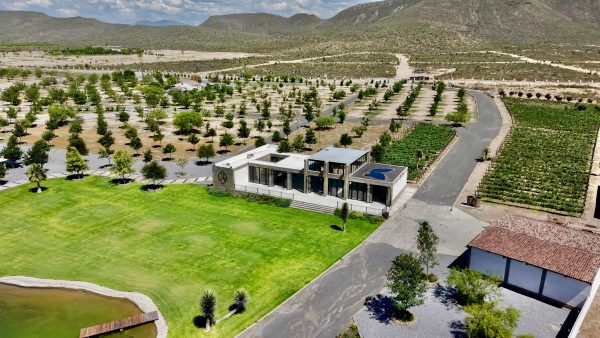 Invitan al gran evento Ramos Wine Fest, el próximo 20 de junio