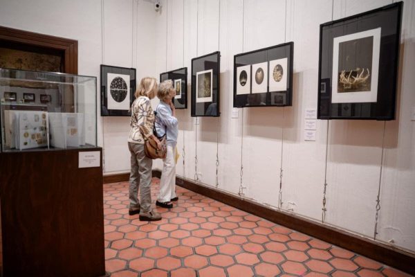 Saltillo, la ciudad de los museos