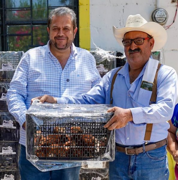 Impulsan Manolo y Tomás autosuficiencia alimentaria en comunidades rurales