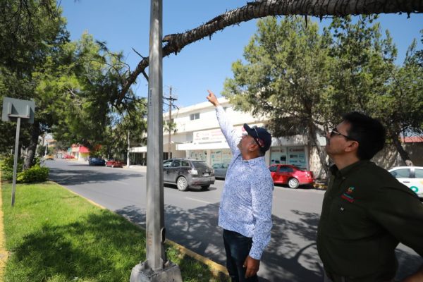 Recuerde, este sábado habrá trabajos preventivos en V. Carranza