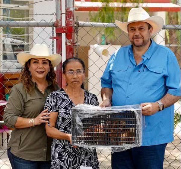 Familias de Mesón del Norte destacan beneficios del programa Aves de Traspatio en Ramos