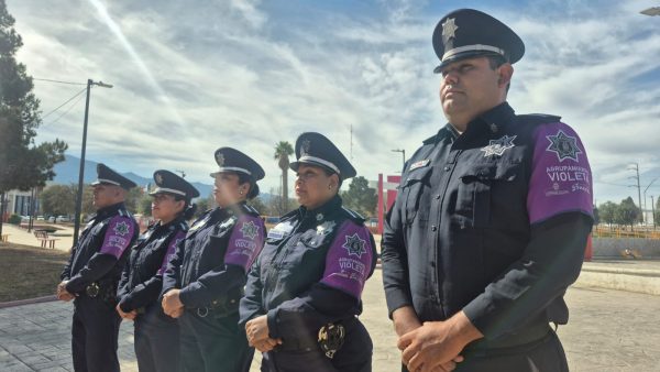 Atiende Comisaría cerca de 500 llamadas a través de la línea 800 VIOLETA