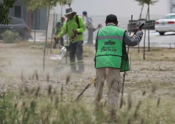 Refuerza Javier Díaz acciones de reforestación en José Musa