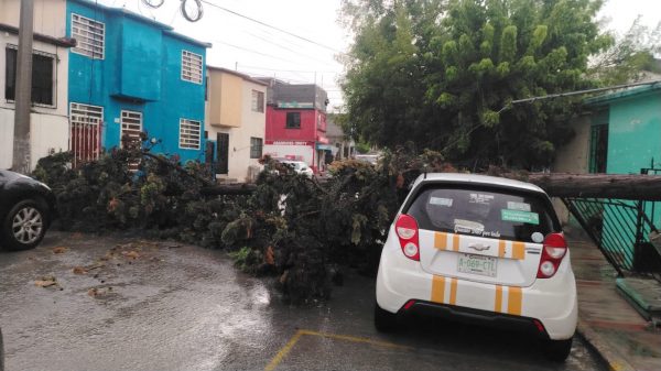 Atiende Ramos Arizpe las afectaciones tras las lluvias de este martes