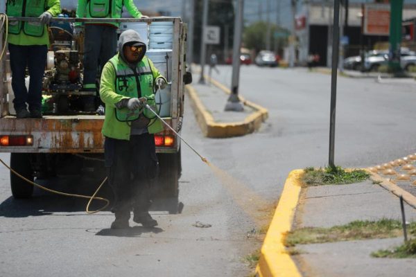 Incrementa Saltillo seguridad vial; pinta cordones cuneta en más vialidades