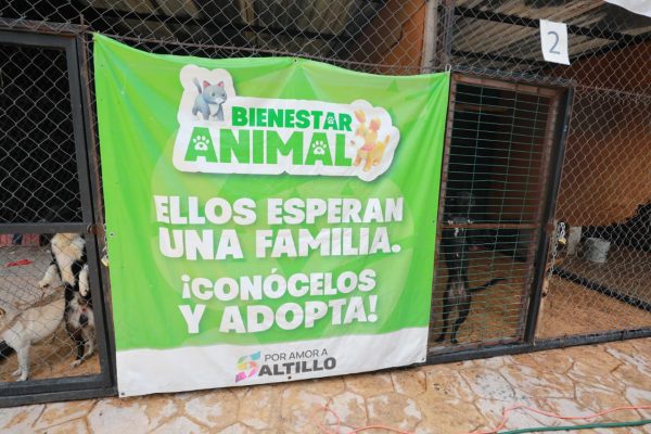 Realiza Municipio Feria de Adopción de seres sintientes