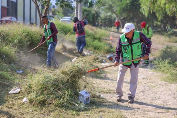 Supervisa Javier Díaz brigada de embellecimiento