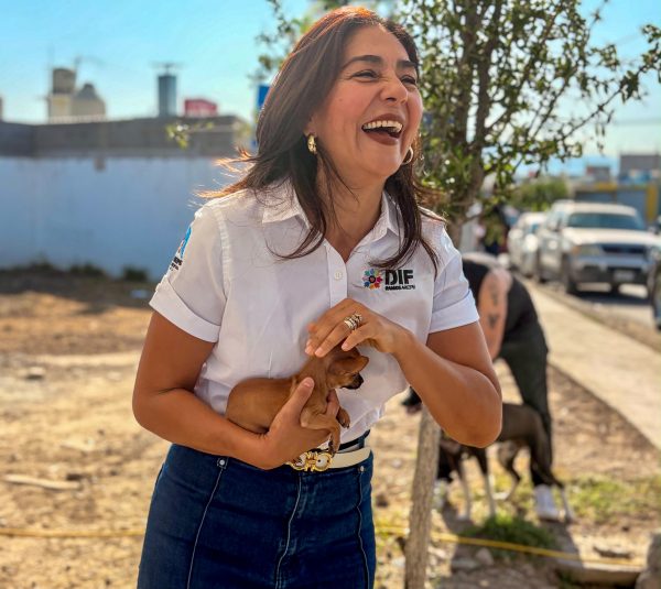 Acerca DIF Ramos Arizpe atención gratuita a mascotas