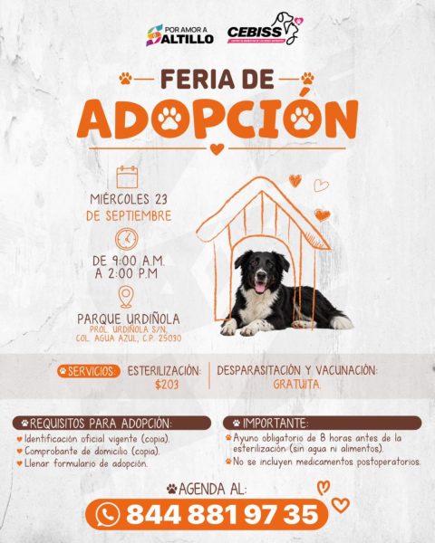 Invita Municipio a darles un hogar a los perritos; habrá Feria de Adopción