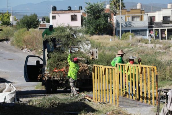 Interviene Javier Díaz arroyo y puente peatonal en Las Teresitas