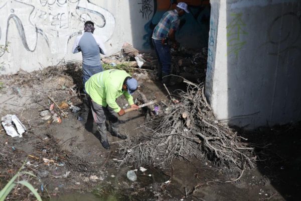 Impulsa Javier Díaz reforestación y limpieza de arroyos